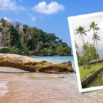 Get Ready For Andaman And Nicobar Islands Trip In 2024 | Food, Beach, & Culture