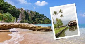 Get Ready For Andaman And Nicobar Islands Trip In 2024 Food, Beach, & Culture